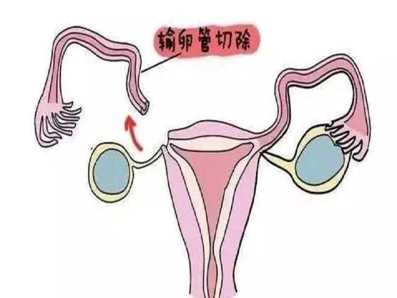 广州供卵医院信坤和助孕,广州供卵助孕私立医院