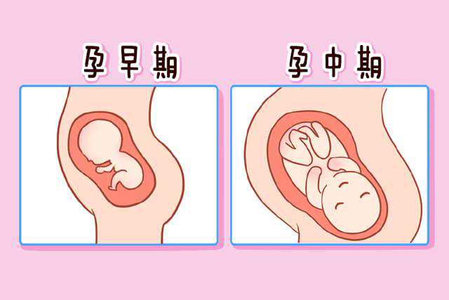 子宫内膜息肉：这四个因素让你无法避免！