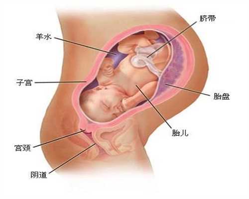 孕期补钙多囊卵巢试管婴儿经历，食疗助力