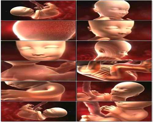 影响胎儿健康的六大因素_广州华婴助孕