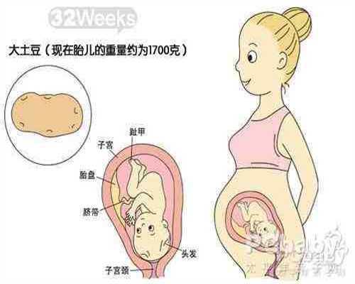 关于双子宫助孕后流产应注意哪些事项的问题