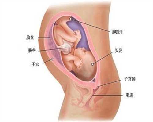 桂林有找代孕妈妈的吗：孕妇吃什么水果对胎儿