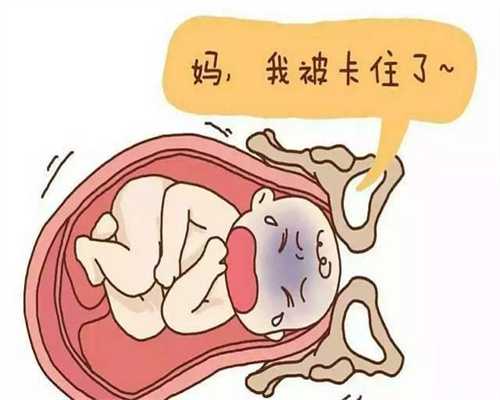 妊娠梅毒3
