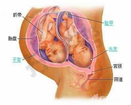 助孕后乳房会发生什么变化2