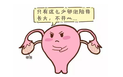 广州捐卵代孕志愿者，广州做第三代试管婴儿费用?