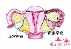 北京供卵天子助孕地址，做作试管婴儿后能吃苦瓜